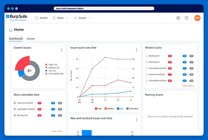 Burp Suite Enterprise Edition live demo