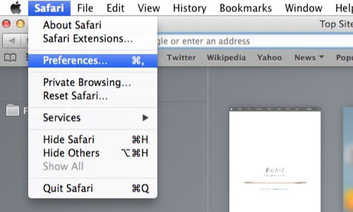 Safari preferences