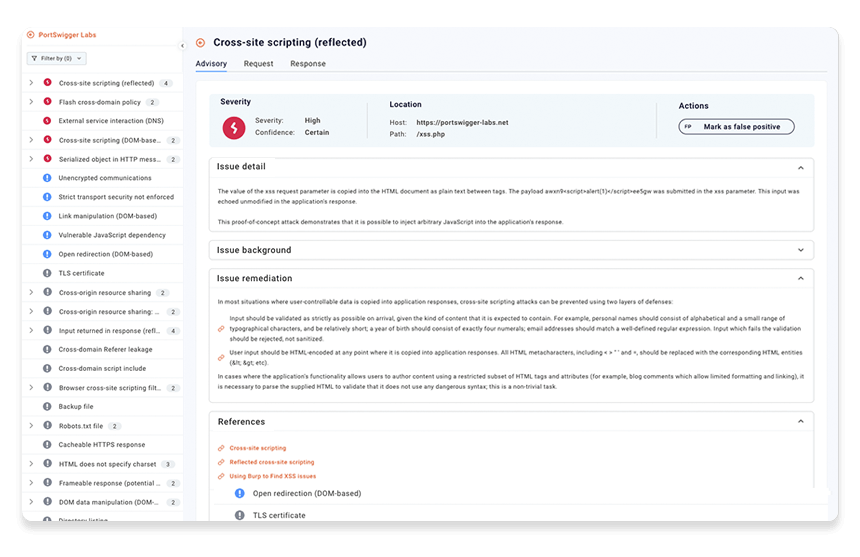 Vulnerability information and remediation advice as seen in Burp Suite Enterprise Edition